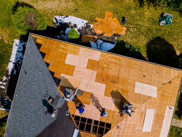Roof Installation Near Me in Citrus Park, FL