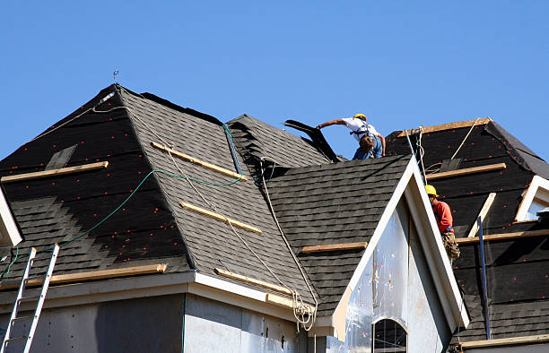 Best New Roof Installation  in Citrus Park, FL