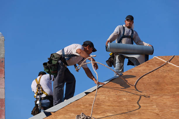 Professional Roofing Contractor in Citrus Park, FL