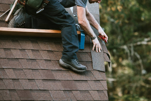 Professional Roofing Contractor in Citrus Park, FL