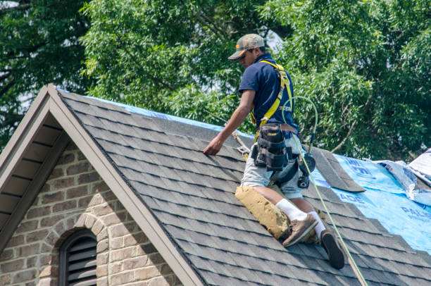 Quick and Trustworthy Emergency Roof Repair Services in Citrus Park, FL